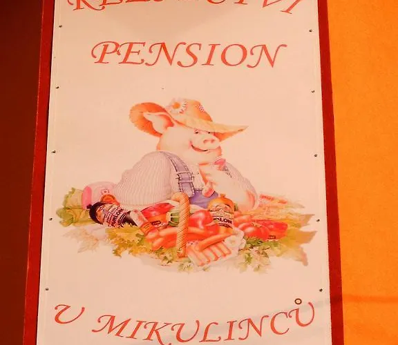 U Mikulincu Pensjonat